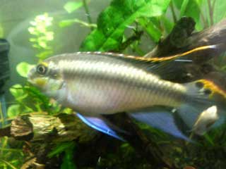 a0030054_1595319.jpg