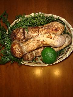 f0046854_19134119.jpg