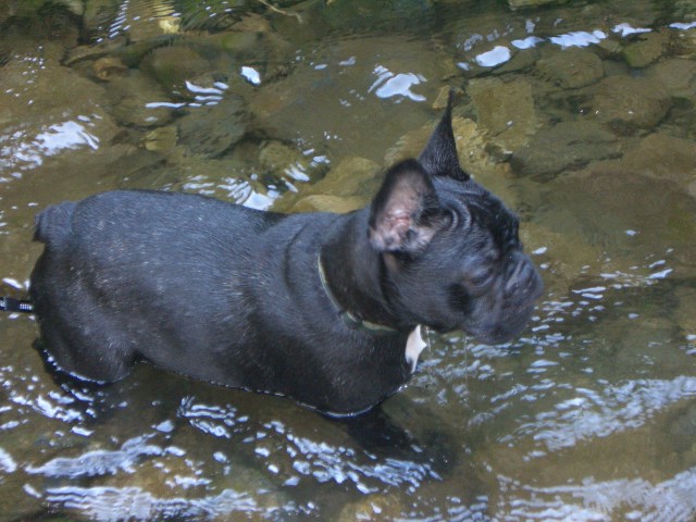 c0081363_0757.jpg