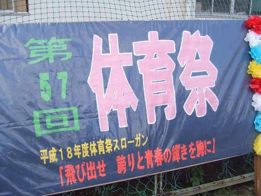 c0048667_19173398.jpg