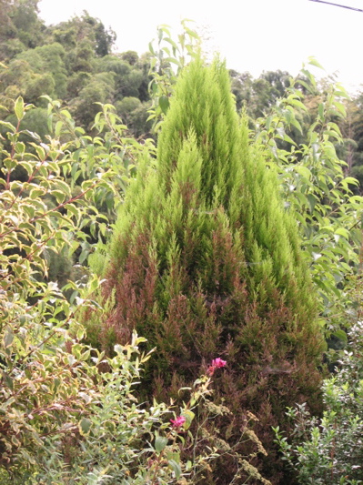 d0050472_1742401.jpg