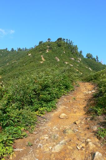 f0054075_15395030.jpg