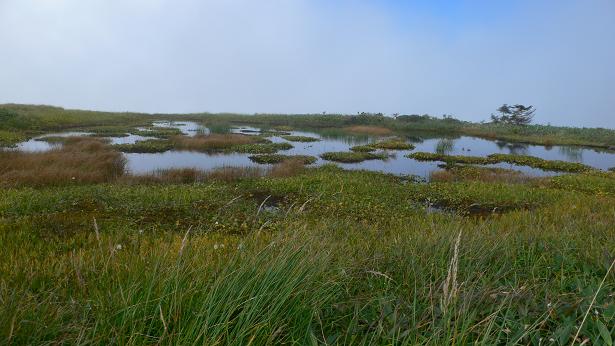f0054075_17581144.jpg