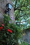 b0077980_794446.jpg