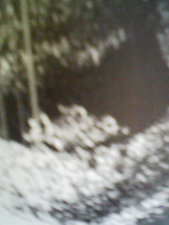 c0020681_16261987.jpg