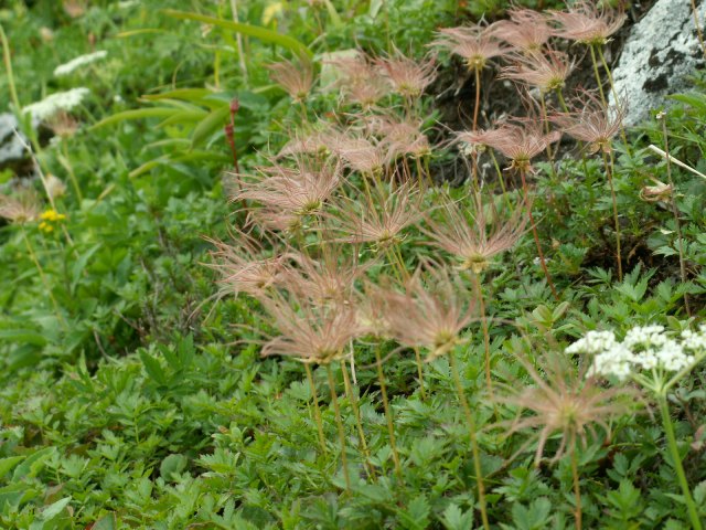 b0039898_924213.jpg