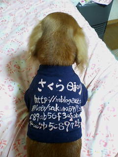 c0087001_12435132.jpg