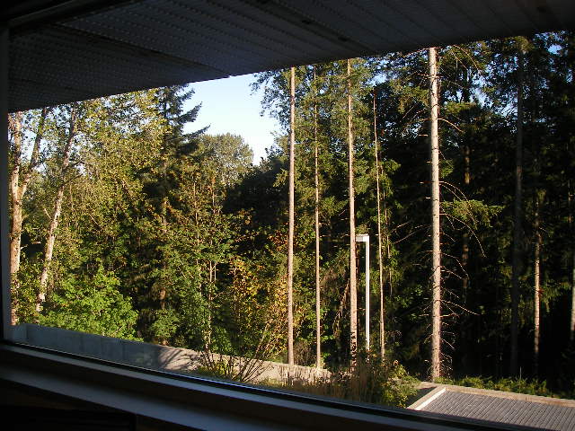 e0061902_13345973.jpg