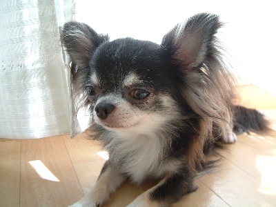 a0079803_23434036.jpg