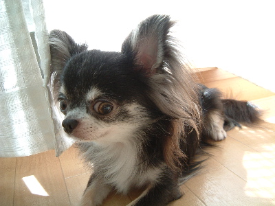 a0079803_23435367.jpg