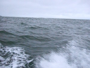 b0110205_17502697.jpg