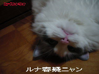 c0024410_23132597.jpg