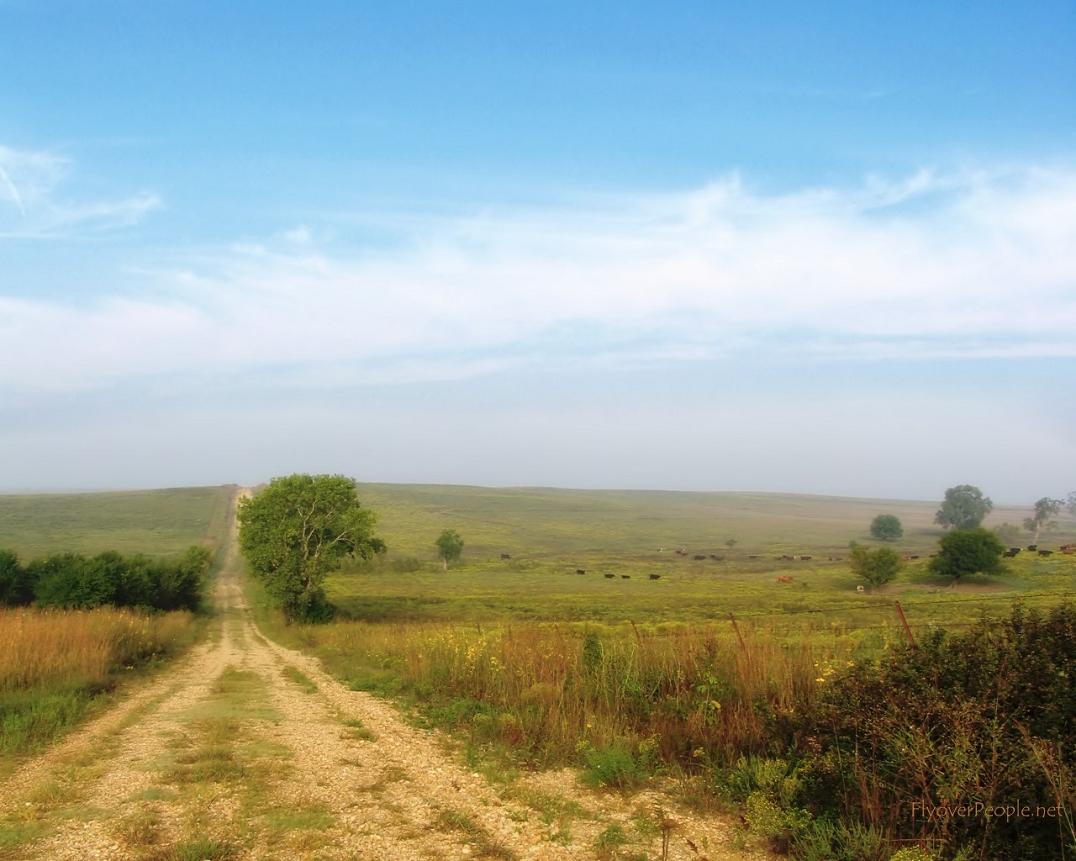 e0015113_22312329.jpg