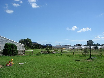 d0023323_0493177.jpg