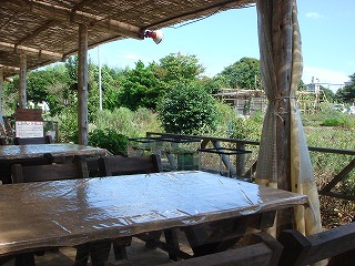 d0023323_0503334.jpg