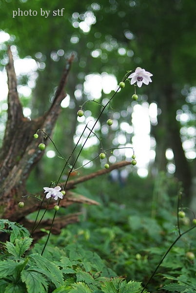 f0030527_2320728.jpg