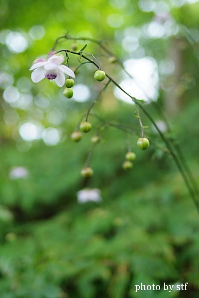 f0030527_2342744.jpg