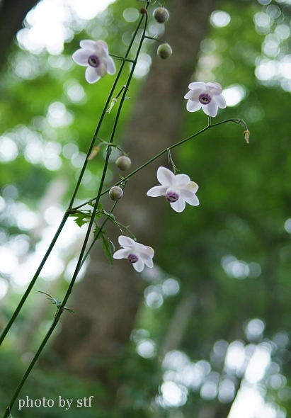 f0030527_2354666.jpg
