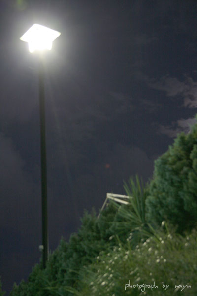 d0036630_17175299.jpg