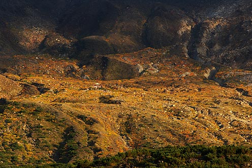 e0025030_1343560.jpg