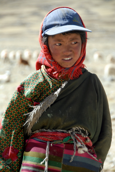 d0091834_11381166.jpg