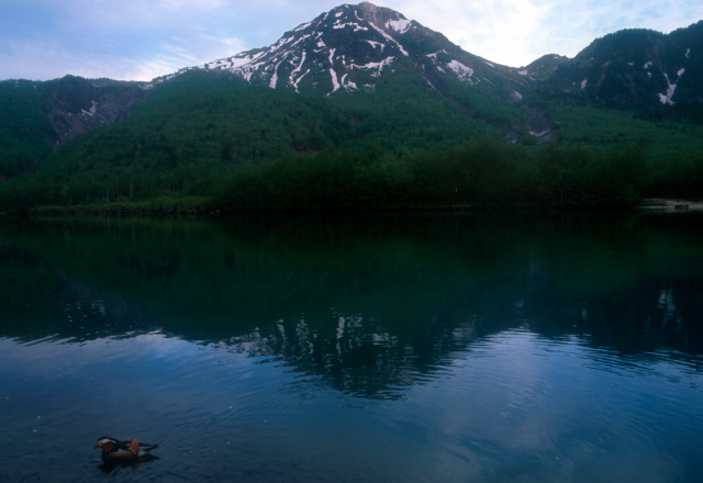 d0091834_13134711.jpg