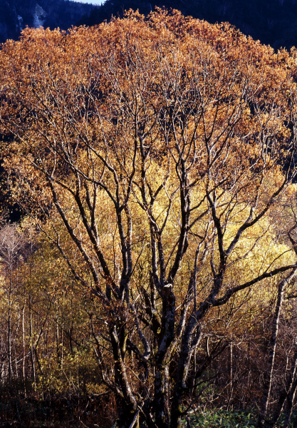 d0091834_13191026.jpg