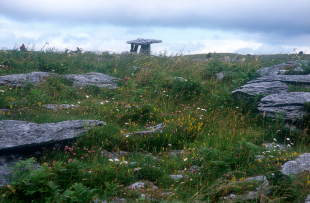 d0091834_14594065.jpg