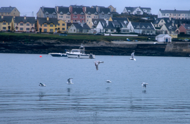d0091834_15125839.jpg