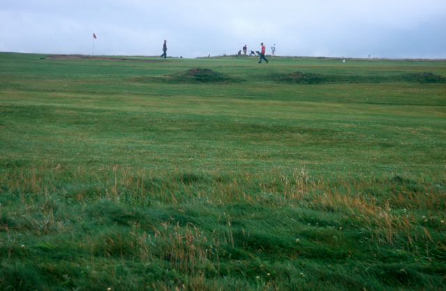 d0091834_15132784.jpg