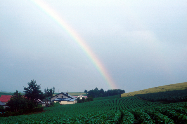 d0091834_17273195.jpg