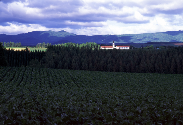 d0091834_1728363.jpg