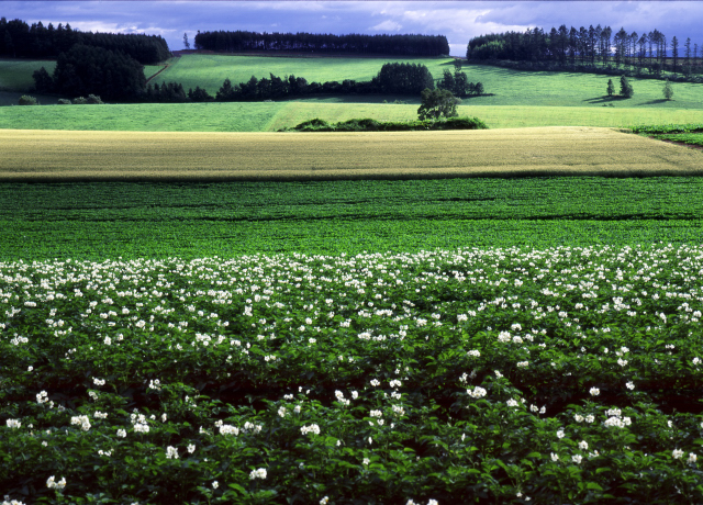 d0091834_17294938.jpg