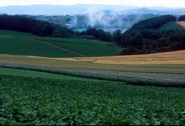 d0091834_17341971.jpg