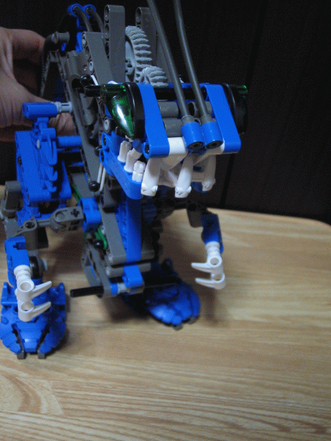 a0053537_1719157.gif