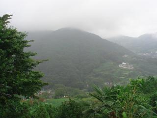 a0048040_205897.jpg