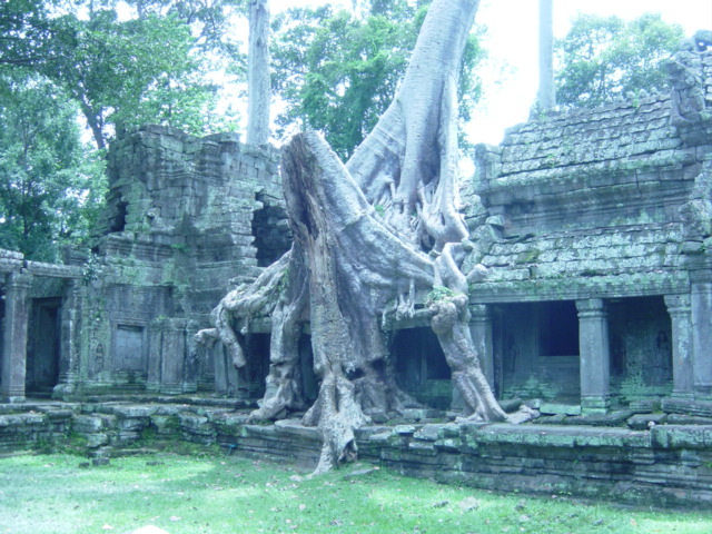 e0007440_1171715.jpg
