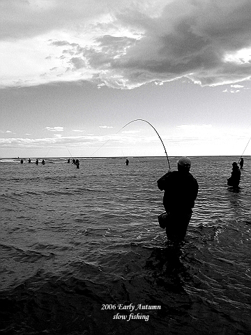 d0029241_026999.jpg