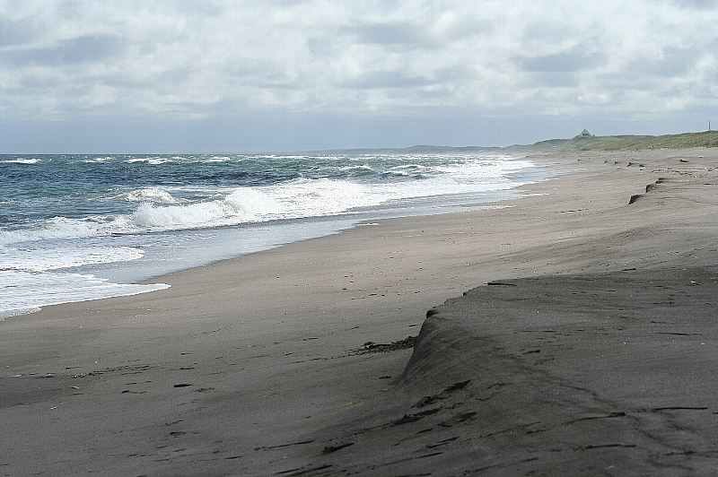 e0077041_2134251.jpg