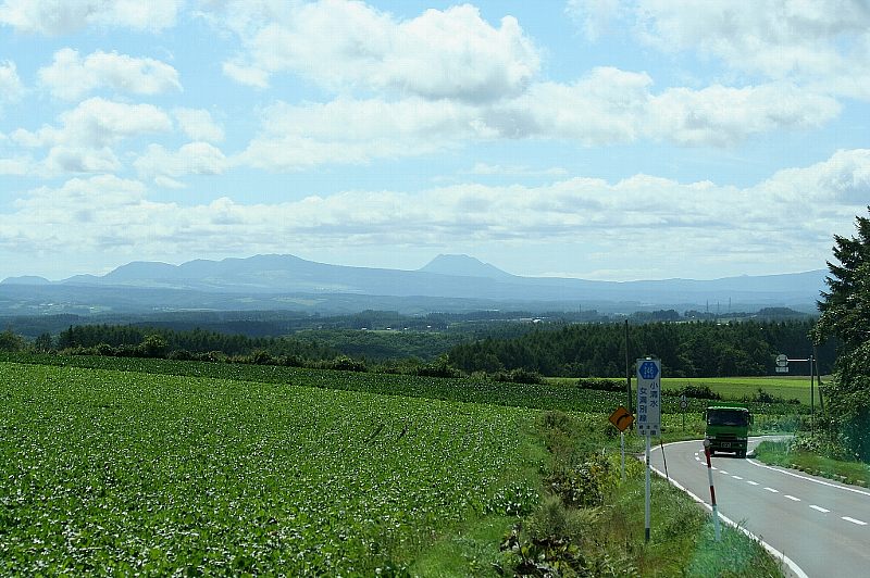 e0077041_2164382.jpg