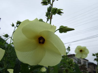 c0023545_2154511.jpg