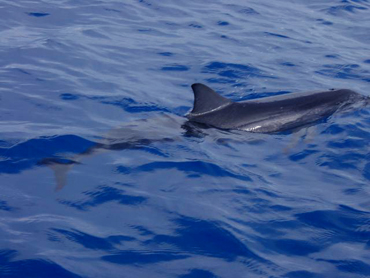 d0065247_2235872.jpg
