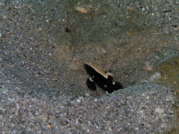 d0065247_2255892.jpg