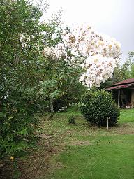 e0022948_0214176.jpg