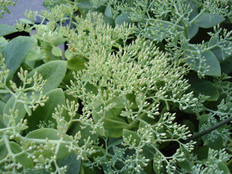 f0041850_182196.jpg