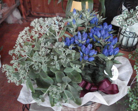 f0041850_18271078.jpg