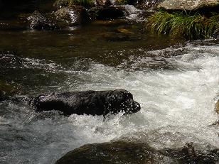 f0050955_15175522.jpg