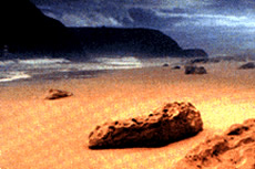 b0068787_19215896.jpg