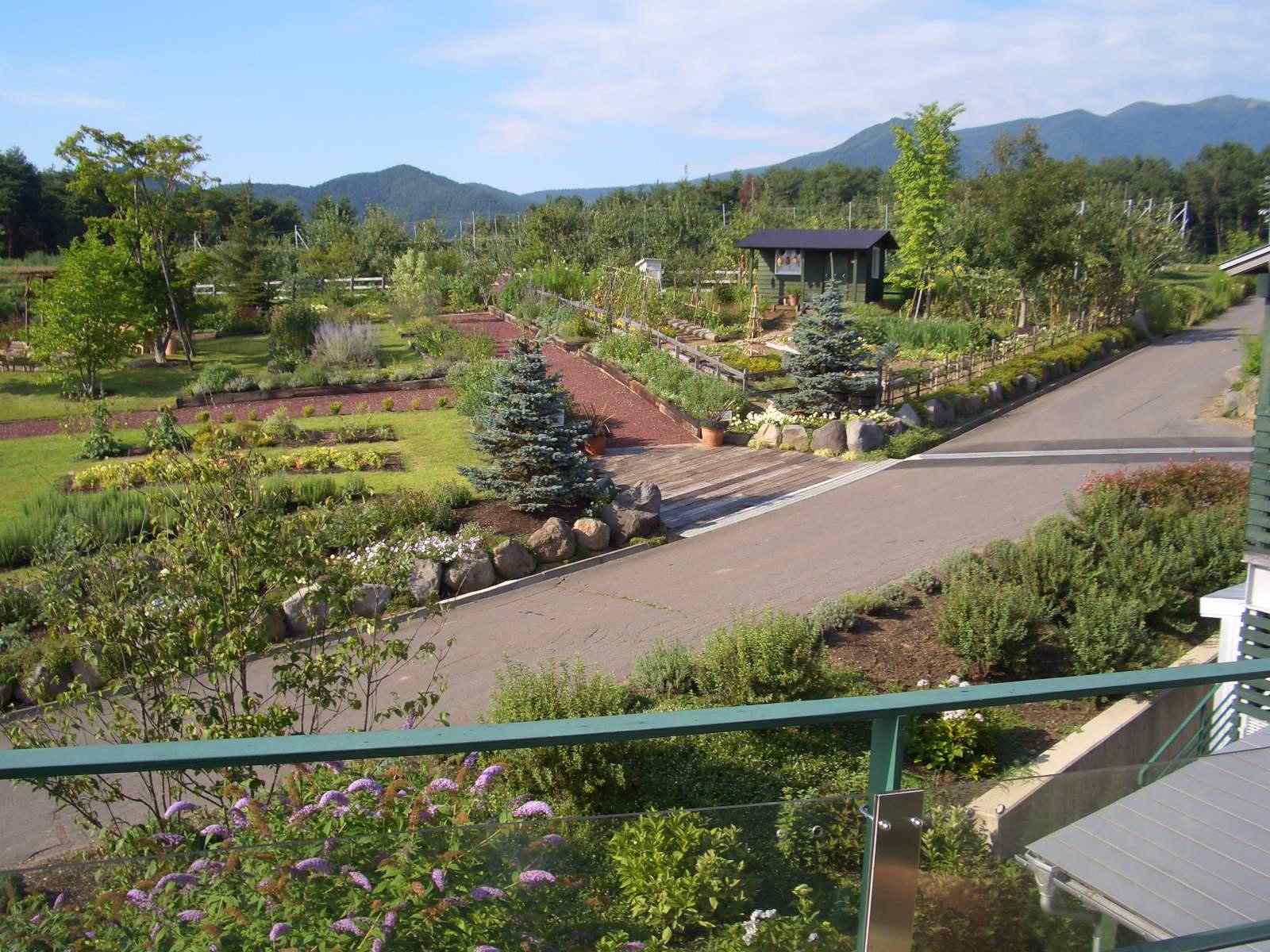 c0011796_2201225.jpg