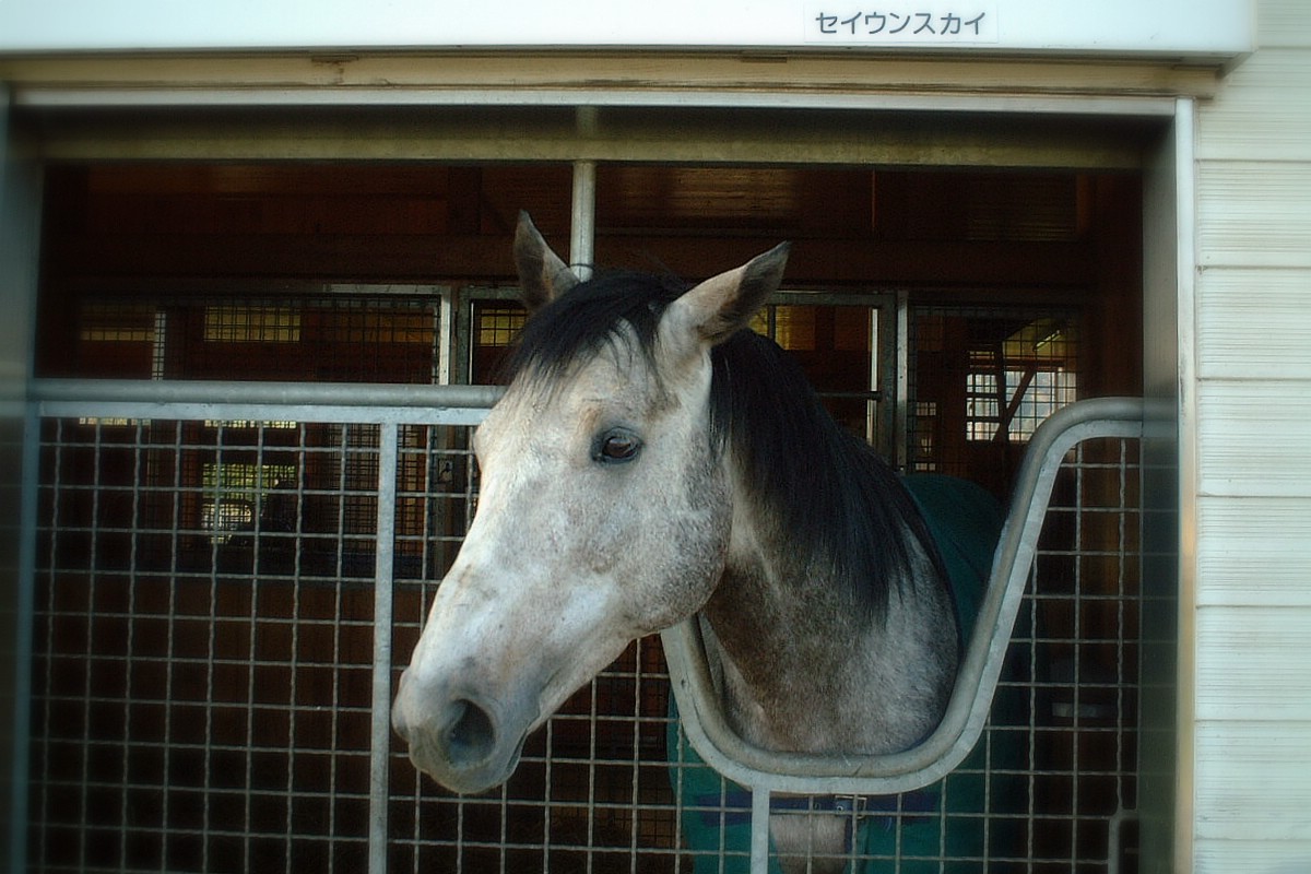 a0062697_0103193.jpg